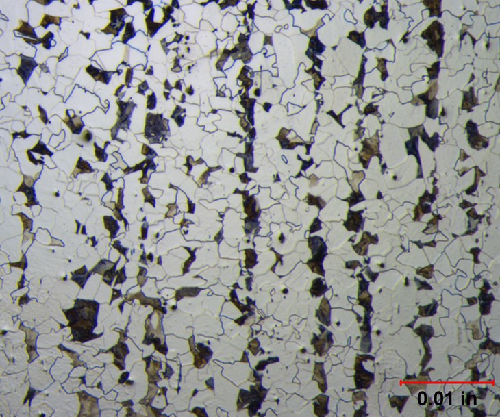 Figure 1. Medium carbon steel at 25X magnification shows ferrite and pearlite (lamellar mixture of ferrite and cementite) which is banded (dark bands are pearlite and light bands are ferrite) too.