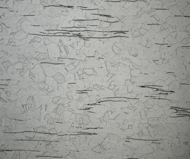 Figure 4. Microstructure of AISI 316 at 200X, electrolytic etched. Delta ferrite stringers, carbides, austenitic grains also annealing twins are visible.