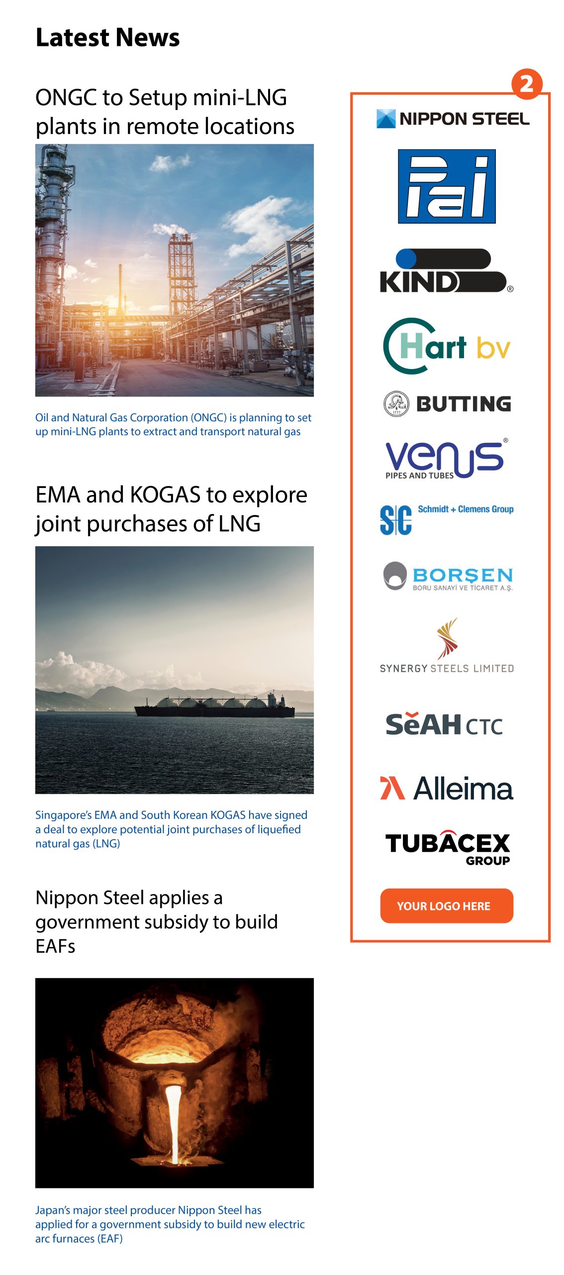 Newsletter Logo Banner