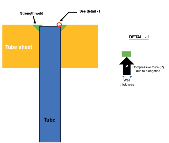 DSS HE Fig 1