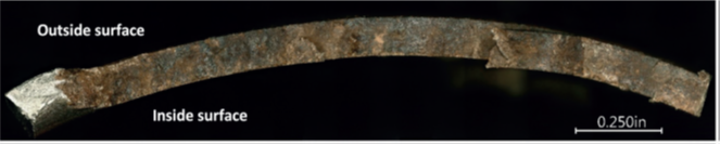 Mahajanam Fig 6