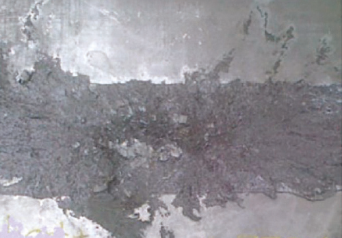 cordewener fig 2